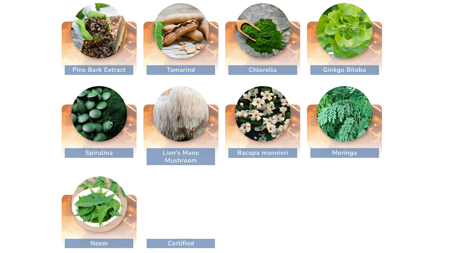 Natural ingredients of The Pineal Guardian supplement including herbs and minerals for pineal gland detox